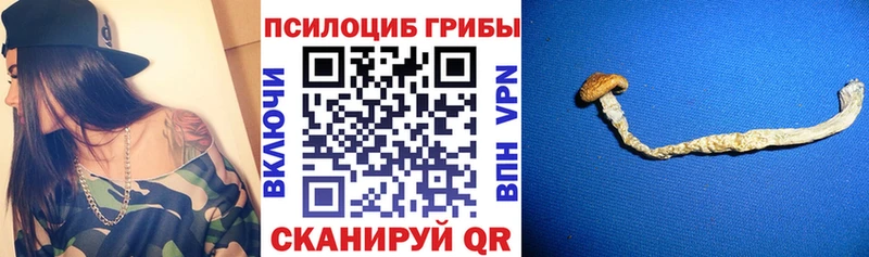 мега ТОР  Неман  Галлюциногенные грибы GOLDEN TEACHER 