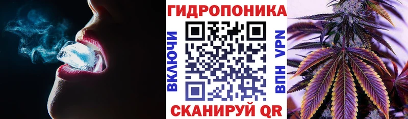 сколько стоит  Неман  Бошки марихуана сатива 